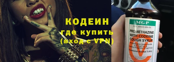 крисы Кулебаки