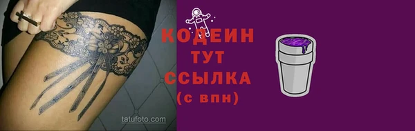 амф Гусев