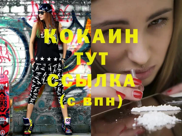 крисы Кулебаки