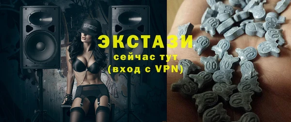 крисы Кулебаки